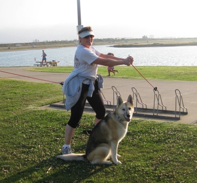 dog cardio